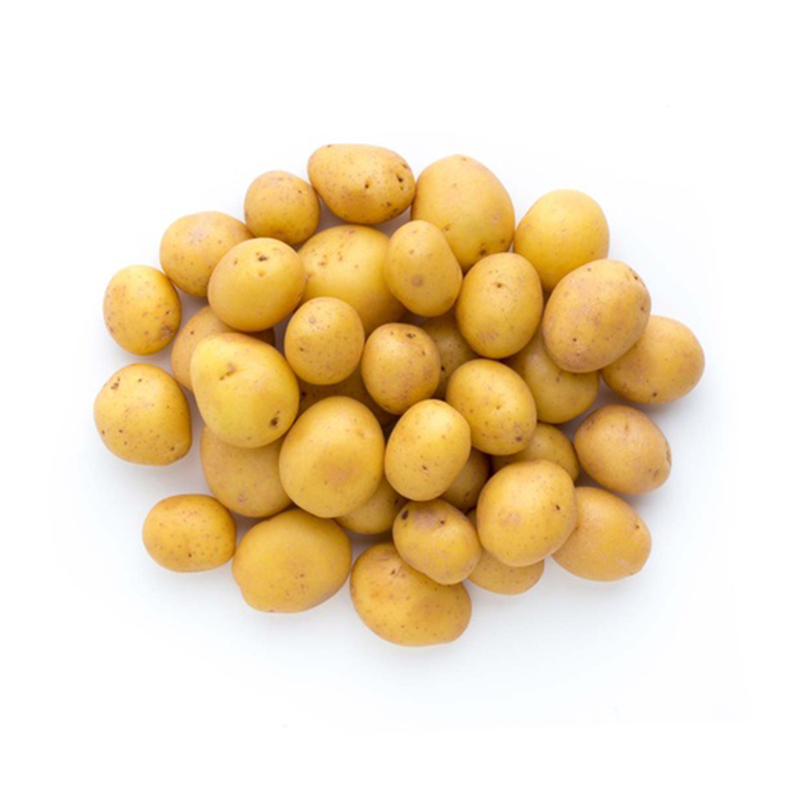 Petite pomme de terre blanche